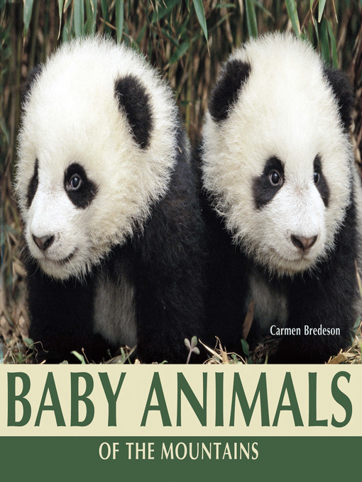 Title details for Baby Animals of the Mountains by Carmen Bredeson - Available